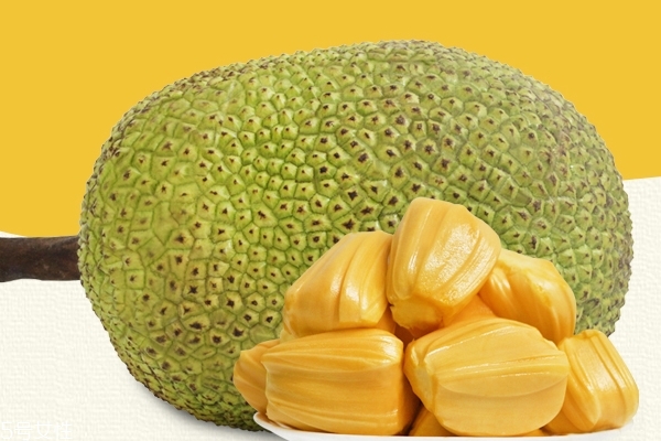 菠蘿蜜什么味道 甜中帶酸 菠蘿蜜什么味道 甜中帶酸