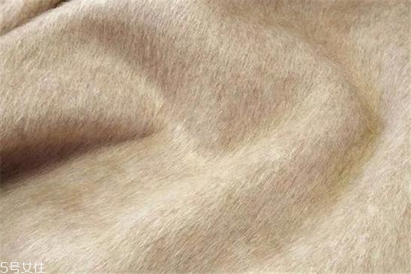 阿爾巴卡和羊絨哪個好 兩者都很珍貴 阿爾巴卡和羊絨哪個好 兩者都很珍貴