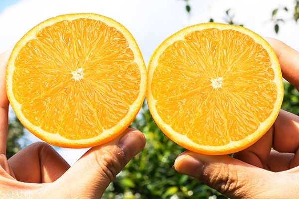臍橙怎么分公母 看肚子就知道了 臍橙怎么分公母 看肚子就知道了