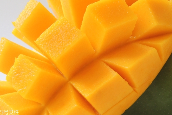 凱特芒果能放多久 這個不一定 凱特芒果能放多久 這個不一定