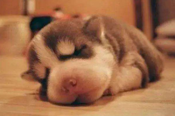 男性和女性睡覺前請注意 不然后果很嚴(yán)重 男性和女性睡覺前請注意 不然后果很嚴(yán)重