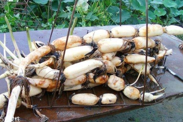 蓮藕變紅怎么回事 因為含有這個成分 蓮藕變紅怎么回事 因為含有這個成分