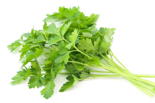 香菜怎么腌制 其實很簡單 香菜怎么腌制 其實很簡單