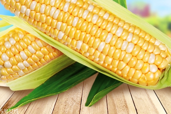 甜玉米能放多久 這個(gè)方法可以管很久 甜玉米能放多久 這個(gè)方法可以管很久