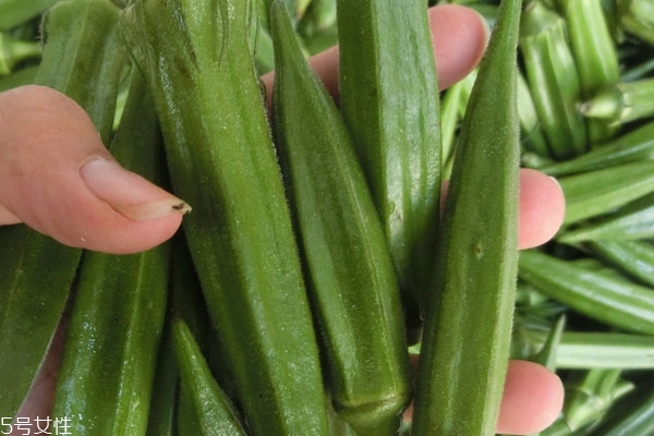 秋葵是什么味道 味道很獨特 秋葵是什么味道 味道很獨特