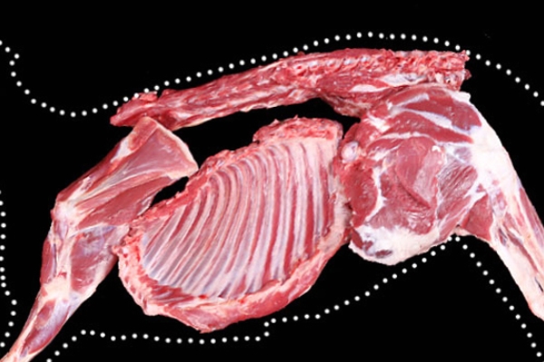 羊肉很難燉怎么辦 這樣做就好了 羊肉很難燉怎么辦 這樣做就好了