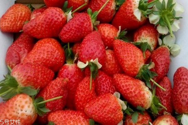怎么辨別打激素的草莓 吃草莓的注意事項 怎么辨別打激素的草莓 吃草莓的注意事項