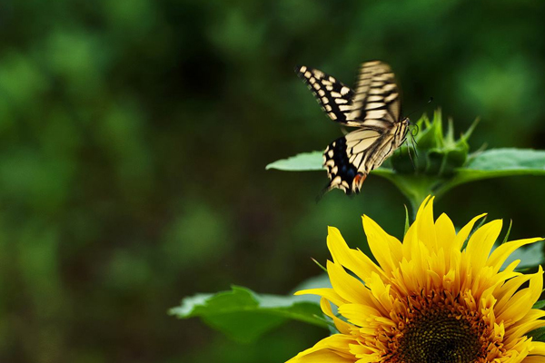 憂郁癥什么征兆 10個日常習慣自測一下