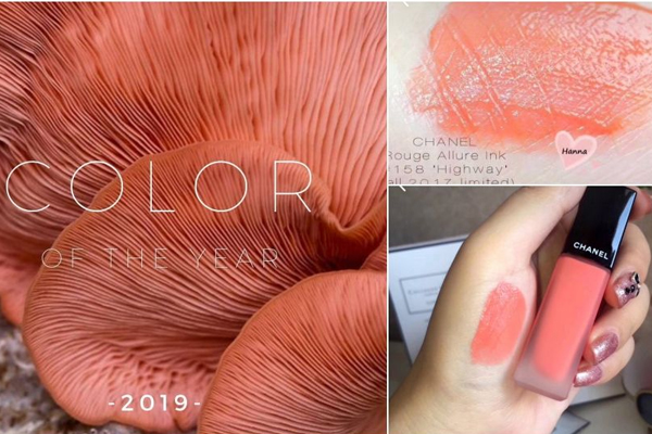 珊瑚橘色彩妝推薦 10大單品開啟2019流行色 珊瑚橘色彩妝推薦 10大單品開啟2019流行色