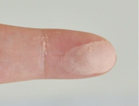 canmake棉花糖粉餅色號(hào)有幾種？canmake棉花糖粉餅ml mo對(duì)比