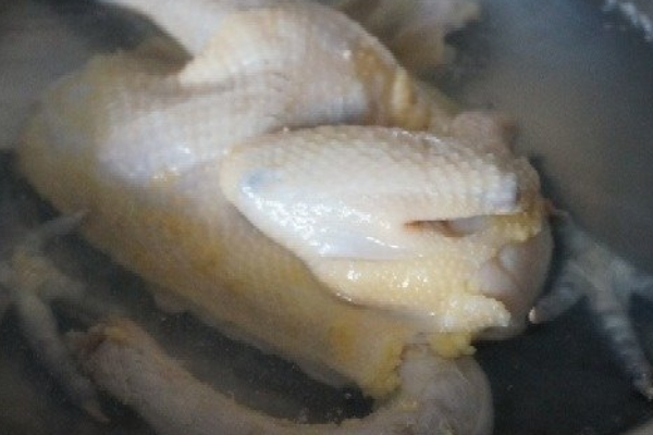 白斬雞是公雞還是母雞 推薦用嫩公雞 白斬雞是公雞還是母雞 推薦用嫩公雞