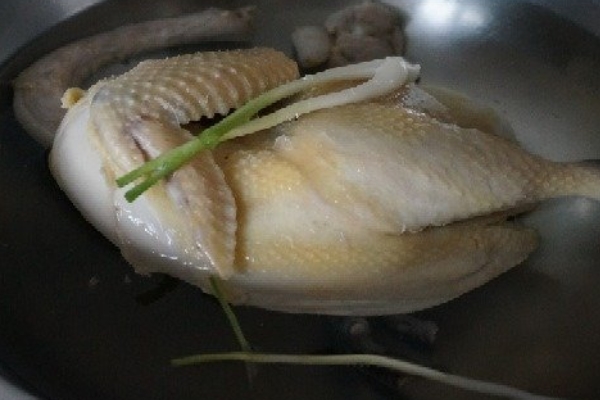 白斬雞是公雞還是母雞 推薦用嫩公雞 白斬雞是公雞還是母雞 推薦用嫩公雞