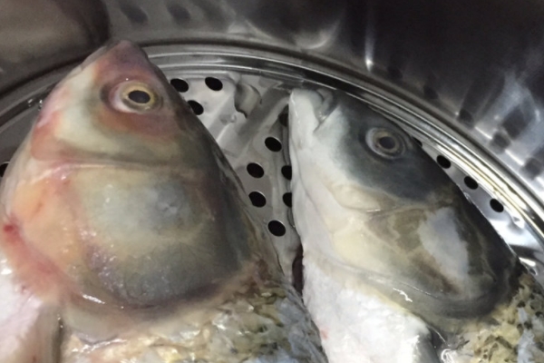 剁椒魚頭能放醋嗎 可以適當放一些 剁椒魚頭能放醋嗎 可以適當放一些