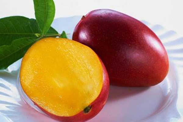 愛(ài)文芒果一個(gè)有多重 平均果重320g左右