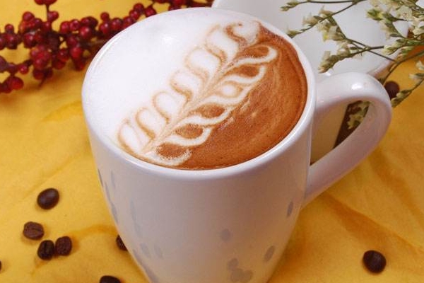 奶茶里可以加哪些東西 這些都可以 奶茶里可以加哪些東西 這些都可以