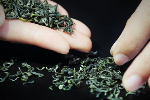 綠茶是清茶嗎 是兩個類別 綠茶是清茶嗎 是兩個類別