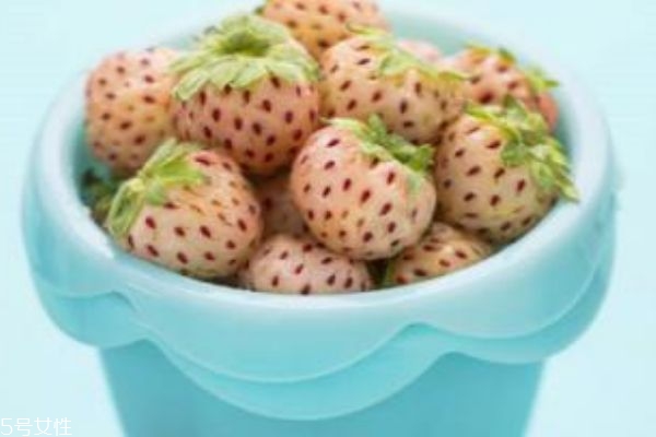 白色草莓叫什么 白色草莓多少錢一斤 白色草莓叫什么 白色草莓多少錢一斤
