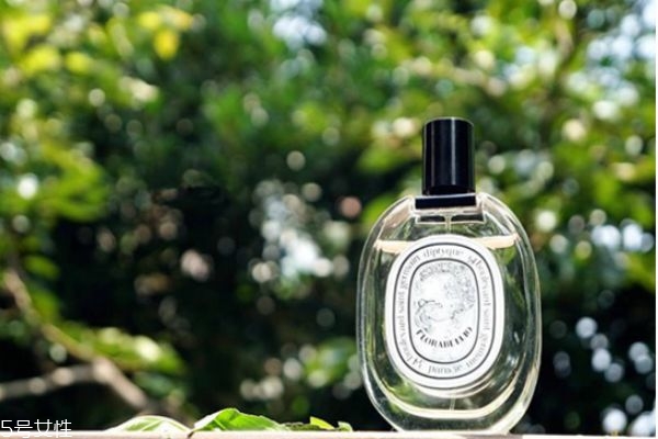 diptyque無(wú)花果好聞嗎 diptyque無(wú)花果香評(píng)