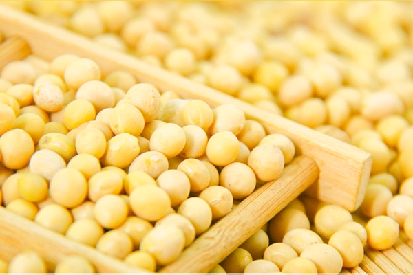 豆?jié){會不會上火 不用擔(dān)心這個問題 豆?jié){會不會上火 不用擔(dān)心這個問題