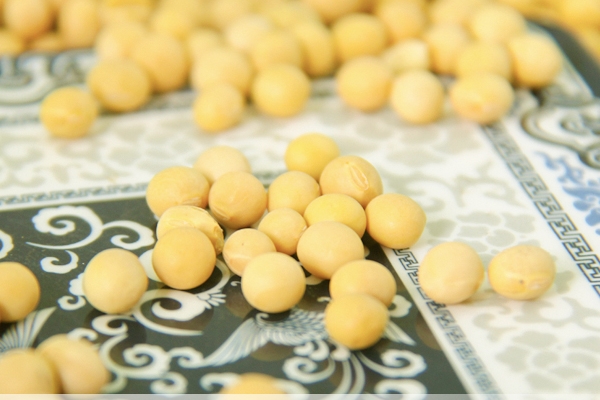 豆?jié){會不會上火 不用擔(dān)心這個問題 豆?jié){會不會上火 不用擔(dān)心這個問題