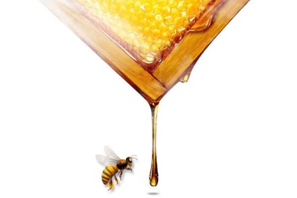 洋槐蜜和蜂蜜的區(qū)別 看了你就懂 洋槐蜜和蜂蜜的區(qū)別 看了你就懂