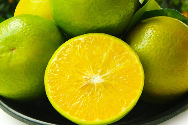 皇帝柑可以多吃嗎 每天一兩個(gè)足以