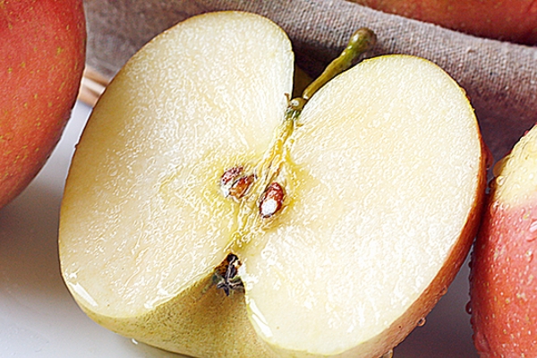 紅富士蘋果多少錢一斤 可以參考這個價(jià)格