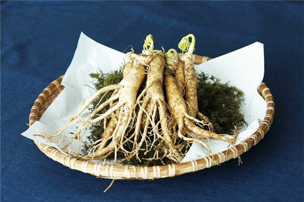 買(mǎi)人參怎么挑選 人參等級(jí)與外觀