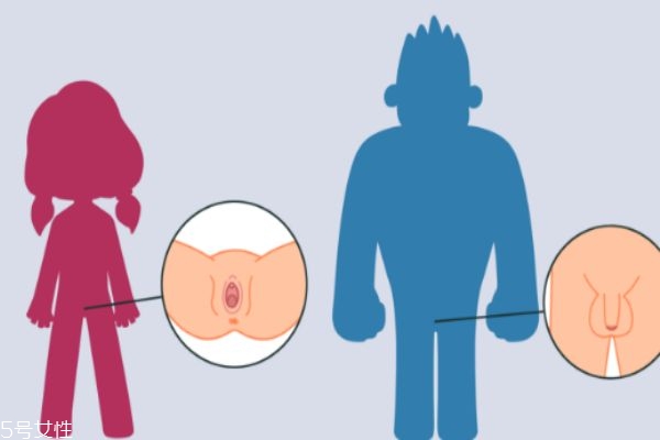 幼兒幾歲開始進(jìn)行性教育 性教育多早都不算早 幼兒幾歲開始進(jìn)行性教育 性教育多早都不算早