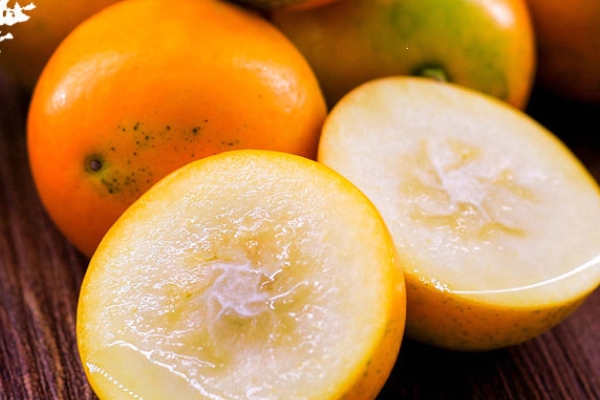 金桔可以和梨一起煮嗎 當(dāng)然是可以的 金桔可以和梨一起煮嗎 當(dāng)然是可以的