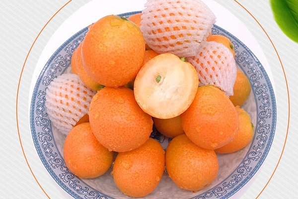 金桔吃了有什么好處 好處非常多 金桔吃了有什么好處 好處非常多