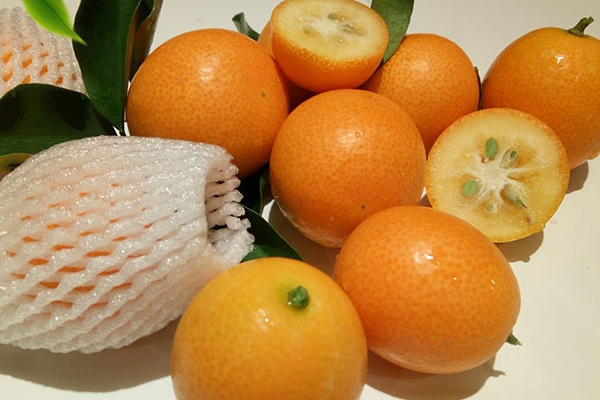 金桔吃了有什么好處 好處非常多 金桔吃了有什么好處 好處非常多