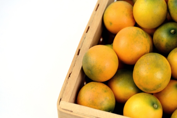 金桔吃了有什么好處 好處非常多 金桔吃了有什么好處 好處非常多