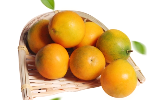 金桔的正確吃法 教你幾種吃法 金桔的正確吃法 教你幾種吃法