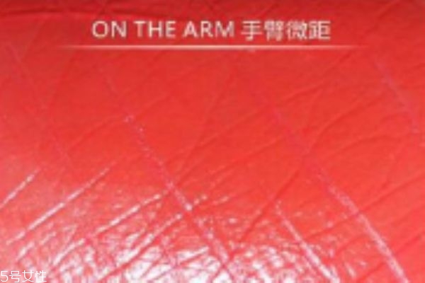 阿瑪尼小胖丁301試色 armani lip magnet301 阿瑪尼小胖丁301試色 armani lip magnet301