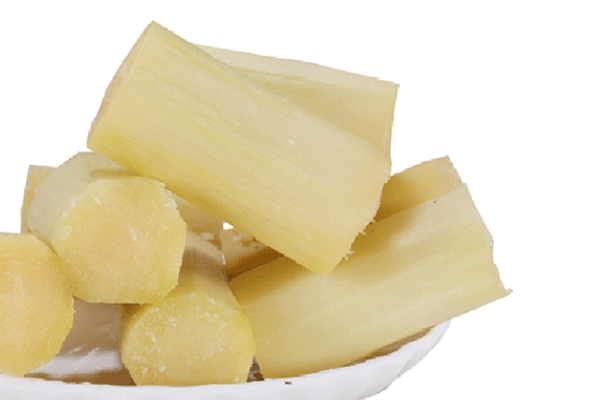 甘蔗是發(fā)物嗎 不屬于這個類別 甘蔗是發(fā)物嗎 不屬于這個類別