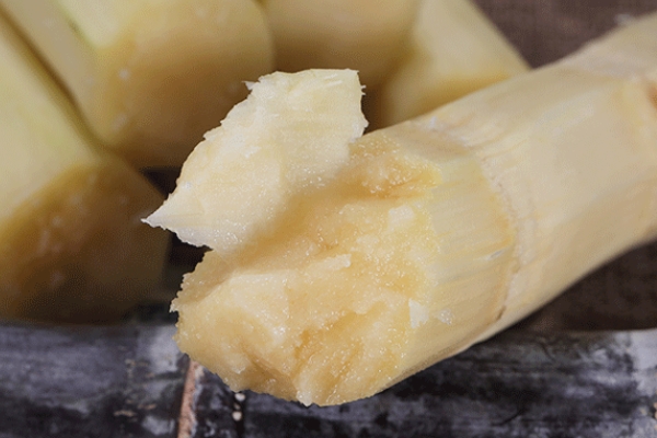 甘蔗是發(fā)物嗎 不屬于這個類別 甘蔗是發(fā)物嗎 不屬于這個類別