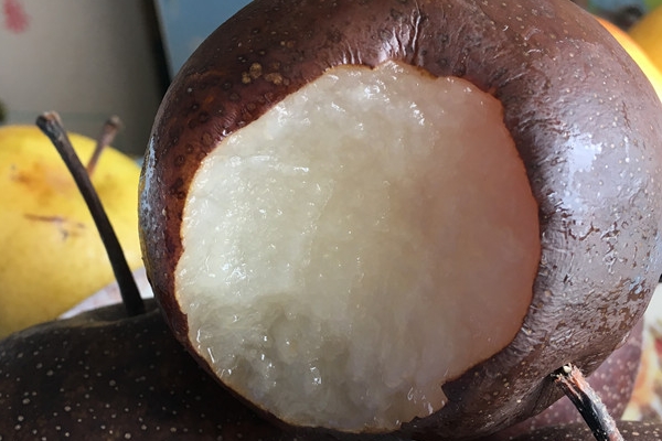 咳嗽可以吃凍梨嗎 沒有治療效果 咳嗽可以吃凍梨嗎 沒有治療效果