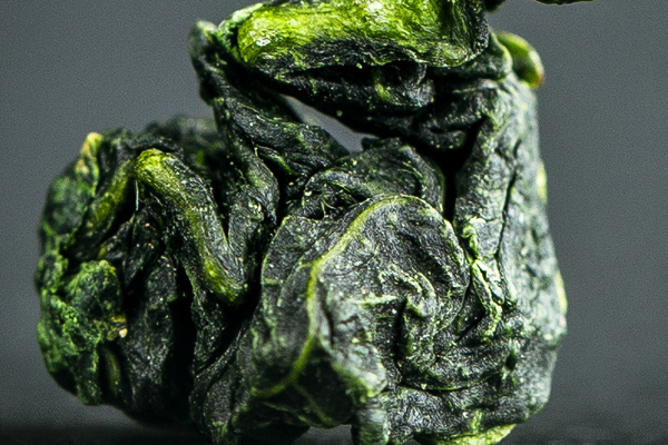 鐵觀音發(fā)酵程度哪種好 輕發(fā)酵pk中發(fā)酵 鐵觀音發(fā)酵程度哪種好 輕發(fā)酵pk中發(fā)酵