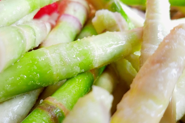 冬筍是什么竹子的筍 毛竹的筍 冬筍是什么竹子的筍 毛竹的筍