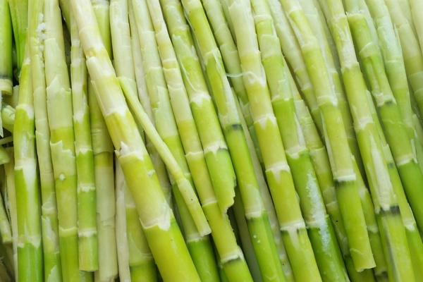 冬筍是什么竹子的筍 毛竹的筍 冬筍是什么竹子的筍 毛竹的筍