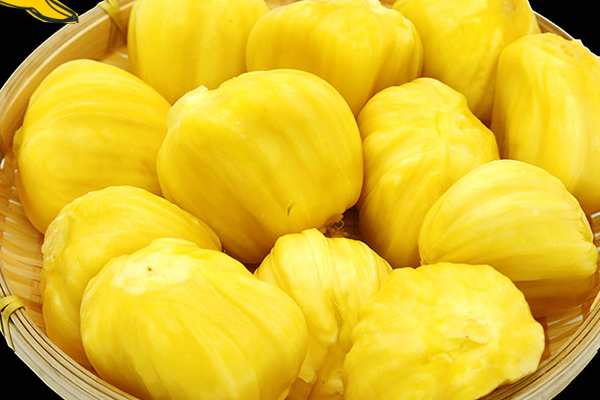 菠蘿蜜干苞和濕苞的區(qū)別 菠蘿蜜干苞和濕苞哪個(gè)好 菠蘿蜜干苞和濕苞的區(qū)別 菠蘿蜜干苞和濕苞哪個(gè)好