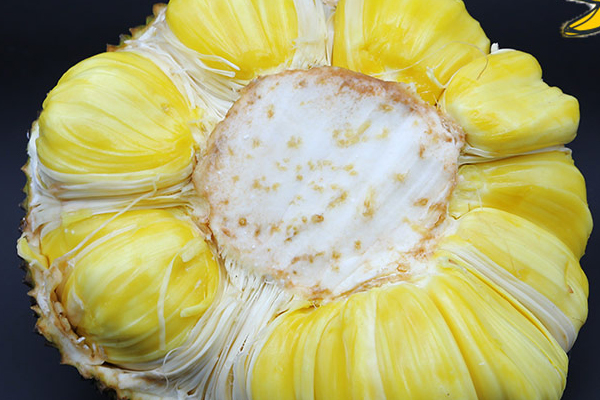 菠蘿蜜干苞和濕苞的區(qū)別 菠蘿蜜干苞和濕苞哪個(gè)好 菠蘿蜜干苞和濕苞的區(qū)別 菠蘿蜜干苞和濕苞哪個(gè)好