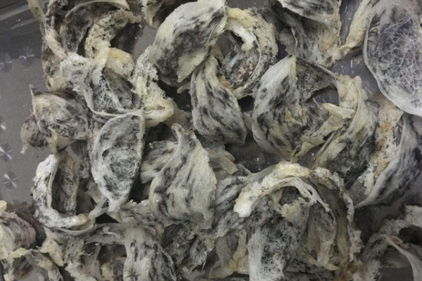 毛燕窩好嗎 不宜長(zhǎng)期食用