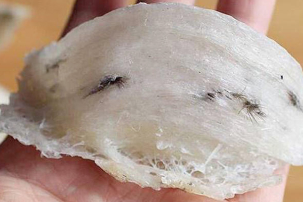 毛燕窩好嗎 不宜長(zhǎng)期食用