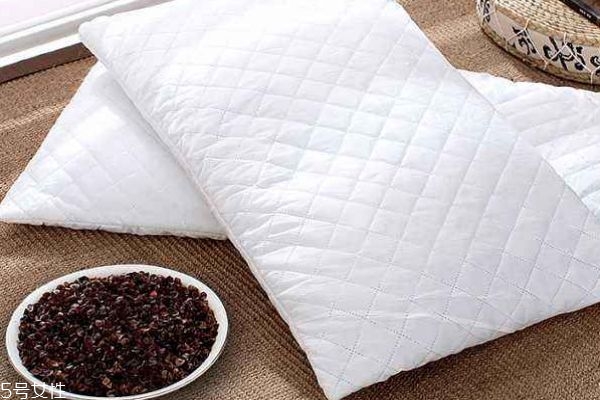 記憶枕和蕎麥枕哪個好 記憶枕怎么挑選 記憶枕和蕎麥枕哪個好 記憶枕怎么挑選