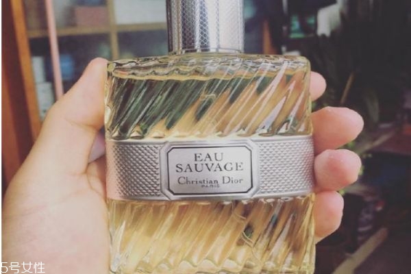 柑橘調香水有哪些 柑橘調香水推薦