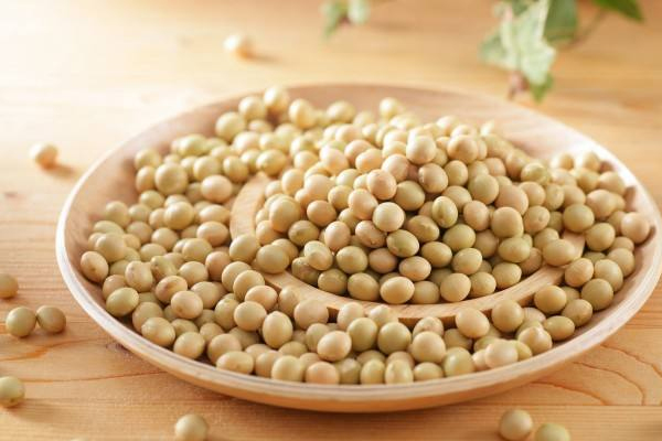 黃豆怎么挑選 黃豆選購(gòu)注意事項(xiàng)