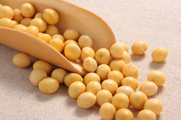 黃豆怎么挑選 黃豆選購注意事項(xiàng) 黃豆怎么挑選 黃豆選購注意事項(xiàng)