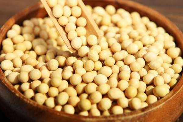 黃豆怎么挑選 黃豆選購注意事項(xiàng) 黃豆怎么挑選 黃豆選購注意事項(xiàng)